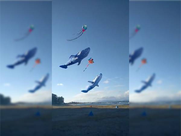 散歩中に空を見上げたら？　目にした光景に「癒される」「すごい」の声