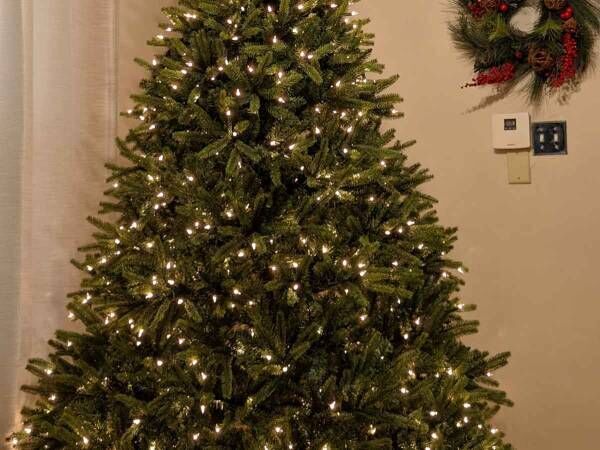 見つけられる クリスマスツリーの オーナメント になった猫に大笑い 21年12月15日 ウーマンエキサイト 1 3