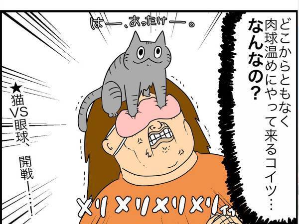 飼い主「解せぬ…！」　目元を温めていると、愛猫が？