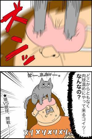 飼い主「解せぬ…！」　目元を温めていると、愛猫が？