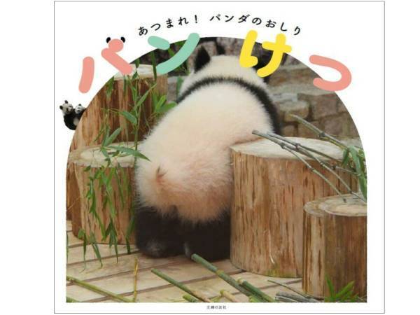 可愛すぎる写真集『パンけつ』　パンダのおしりにときめきが止まらない