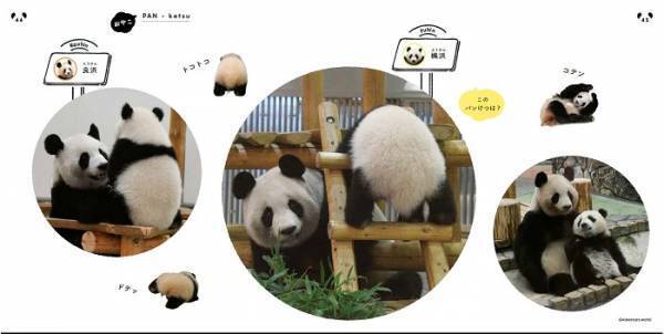 可愛すぎる写真集『パンけつ』　パンダのおしりにときめきが止まらない