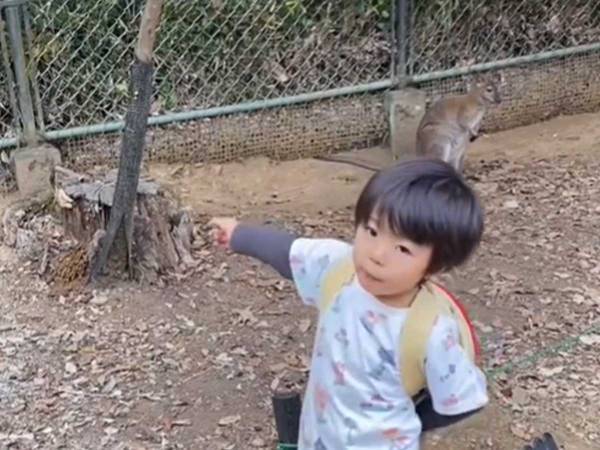 親「マジ何しに来たん」　せっかく動物園へ行ったのに、４歳の息子が？