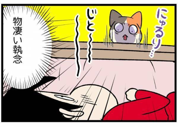 猫と飼い主の熱き争い…！　家の中での出来事に「あるある」