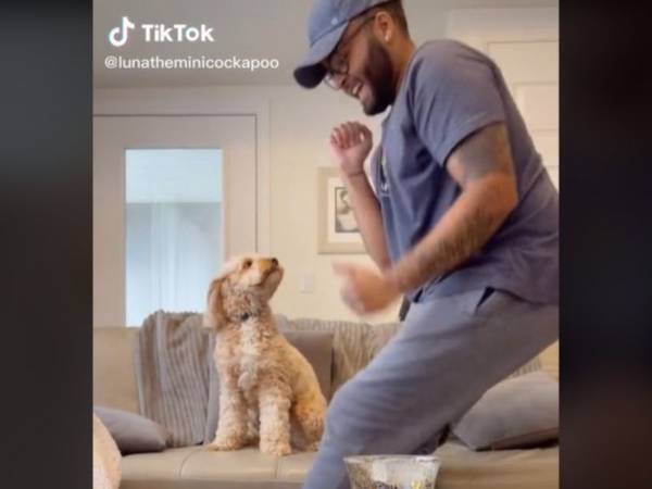 飼い主が突然、踊り始めると？　愛犬のリアクションに３３万『いいね！』