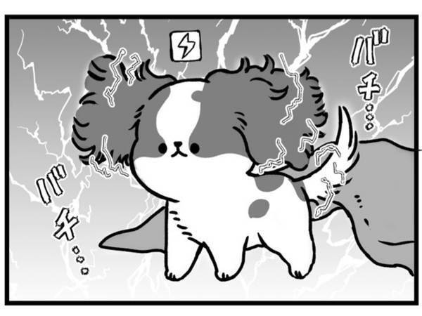 愛犬の姿を見て、飼い主が悲鳴　その理由は…？