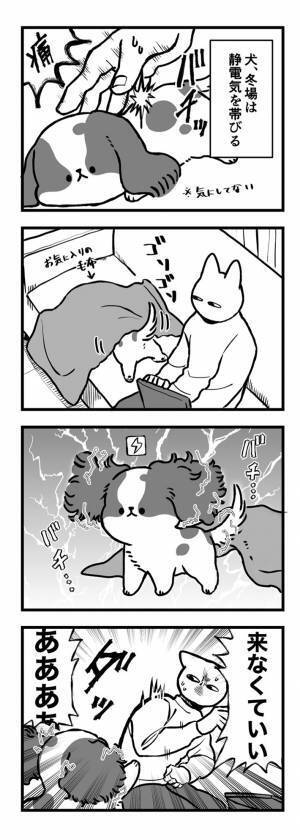 愛犬の姿を見て、飼い主が悲鳴　その理由は…？