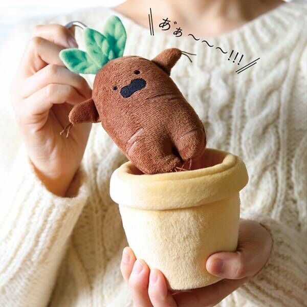 植物型のぬいぐるみ ポットから引っこ抜いたら 面白い １０個くらい欲しい 21年12月21日 ウーマンエキサイト 1 2