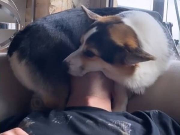 く、苦しい…！　飼い主のことが大好きなコーギーの『ハグ』に大笑い