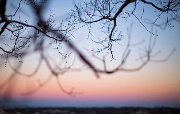 「ありがとう」に一言を添える　それだけで、心のぬくもりを伝えることができる