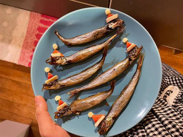 ししゃもにサンタの帽子を被せた結果　こんなはずではなかった…！