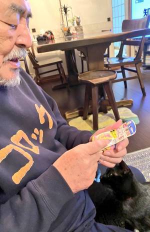 カラスにつつかれていた保護猫　『初めてのクリスマス』の様子にニヤける人が続出！