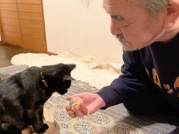 カラスにつつかれていた保護猫　『初めてのクリスマス』の様子にニヤける人が続出！