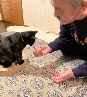 カラスにつつかれていた保護猫　『初めてのクリスマス』の様子にニヤける人が続出！