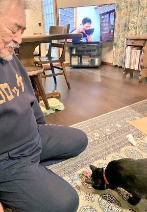 カラスにつつかれていた保護猫　『初めてのクリスマス』の様子にニヤける人が続出！