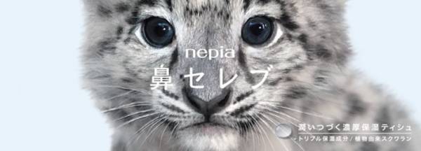 寅年パッケージが数量限定で登場！！　「かわいすぎる」「絶対ほしい」