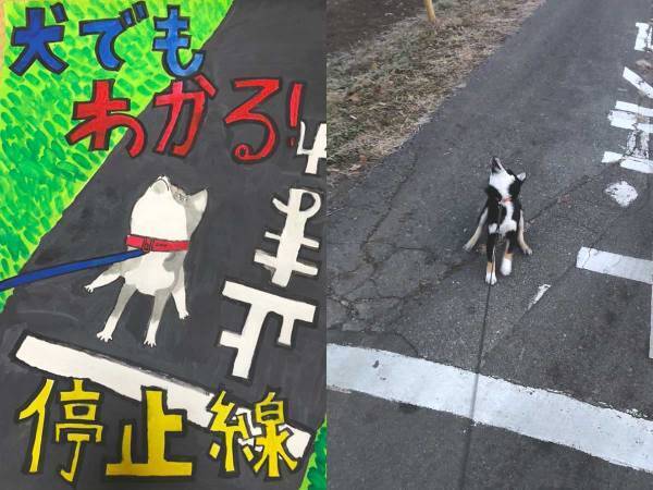 散歩中の柴犬を見て、子供が描いた『交通安全ポスター』が最高すぎた