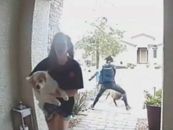 勇敢なAmazon配達員に称賛の嵐！　大型犬に襲われている女性に気付くと？？