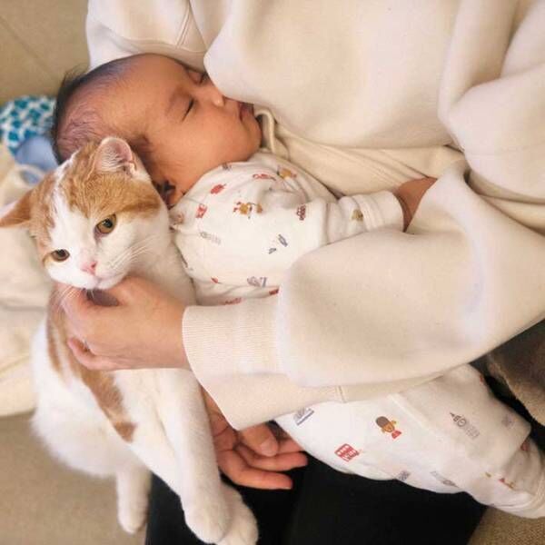 赤ちゃんを抱っこしていると…　猫が見せた行動に、キュンが止まらない