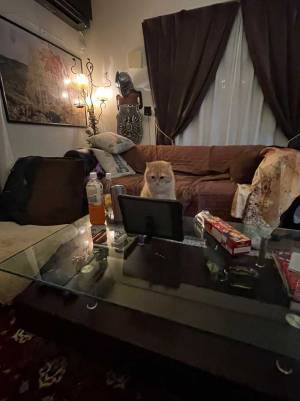 自宅で飲み会をしていた男性　トイレ休憩後の展開に、笑いがこみ上げる