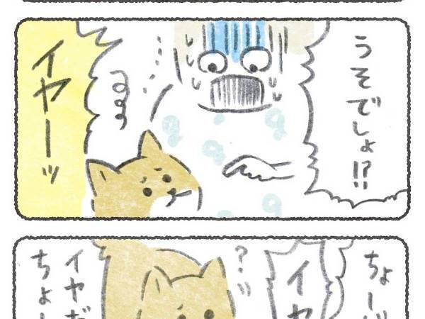 ゴキブリの登場にゾッとする女性　柴犬とのやり取りに「笑った」「オチが好き」