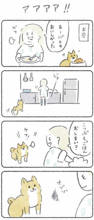 ゴキブリの登場にゾッとする女性　柴犬とのやり取りに「笑った」「オチが好き」