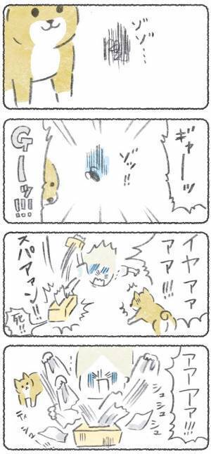 ゴキブリの登場にゾッとする女性　柴犬とのやり取りに「笑った」「オチが好き」