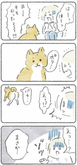 ゴキブリの登場にゾッとする女性　柴犬とのやり取りに「笑った」「オチが好き」