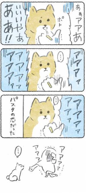 ゴキブリの登場にゾッとする女性　柴犬とのやり取りに「笑った」「オチが好き」