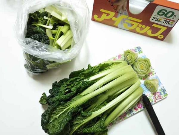 シャキシャキが続く！アイラップに詰めるだけの野菜保存法！