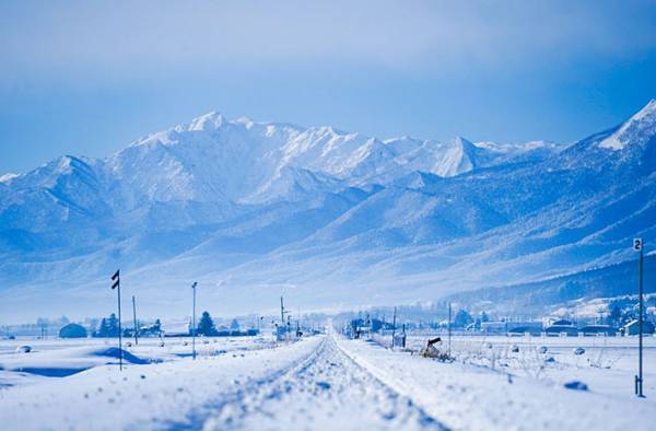 カメラを買ってたった数日…　撮れた写真に驚きの声が続出！