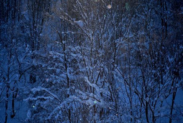 カメラを買ってたった数日…　撮れた写真に驚きの声が続出！