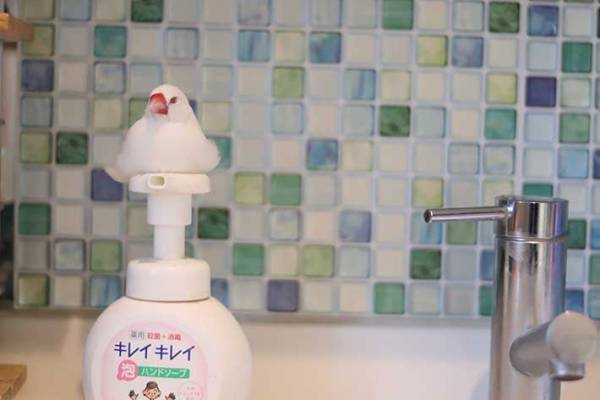 『洗面所』を写した３枚に、２０万人が悶絶した理由とは？