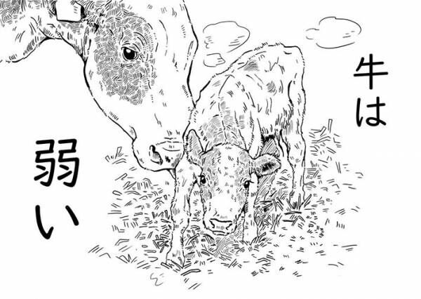 穏やかなイメージだけど？　酪農従業員が描く『牛』の姿が、奥深い