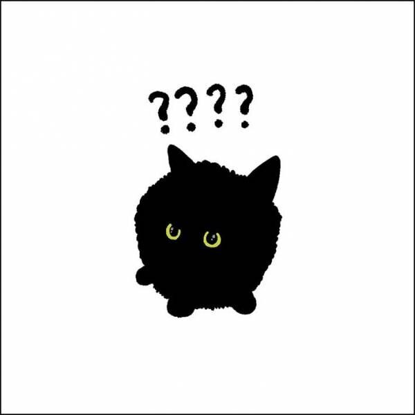 『黒猫』を写した１枚に、９万人が吹き出したワケとは？