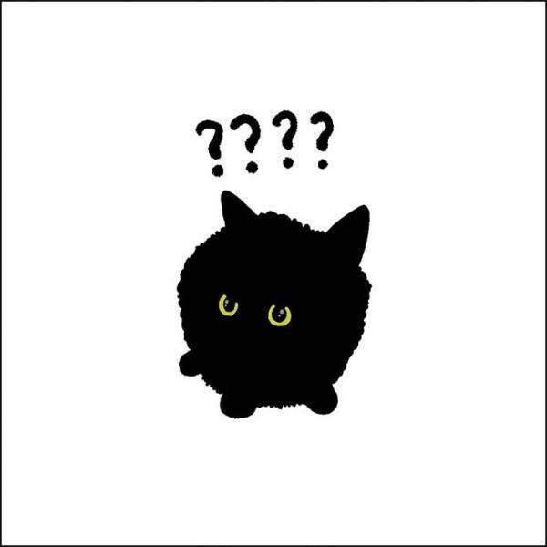 『黒猫』を写した１枚に、９万人が吹き出したワケとは？