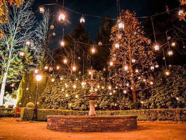 まるで『ラプンツェル』の世界観？美しい仙台のイルミネーション