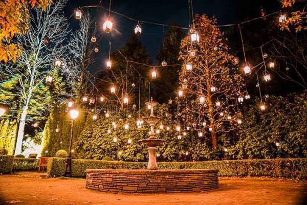 まるで『ラプンツェル』の世界観？美しい仙台のイルミネーション