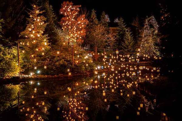 まるで『ラプンツェル』の世界観？美しい仙台のイルミネーション