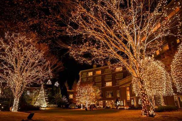 まるで『ラプンツェル』の世界観？美しい仙台のイルミネーション