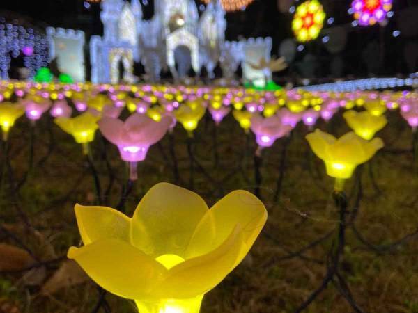 豪華すぎる！関東最大級の５００万球イルミネーション！