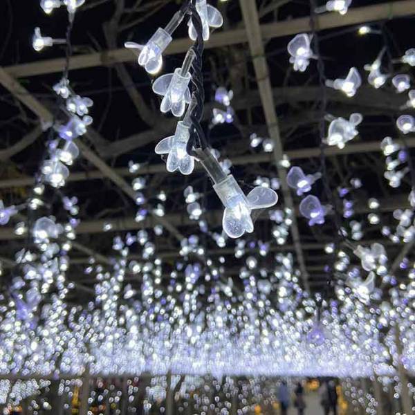 豪華すぎる！関東最大級の５００万球イルミネーション！