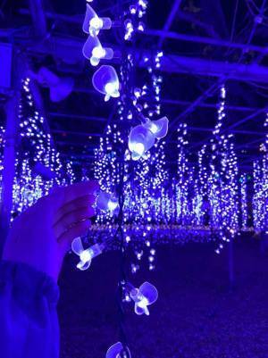 豪華すぎる！関東最大級の５００万球イルミネーション！