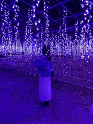 豪華すぎる！関東最大級の５００万球イルミネーション！