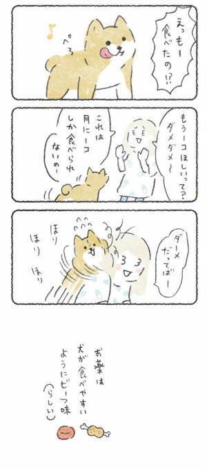 飼い主の演技にのせられて、ノリノリで薬を飲んだ柴犬　しかし？　「笑った」「可愛すぎ」