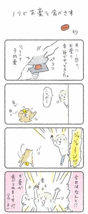 飼い主の演技にのせられて、ノリノリで薬を飲んだ柴犬　しかし？　「笑った」「可愛すぎ」