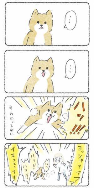 飼い主の演技にのせられて、ノリノリで薬を飲んだ柴犬　しかし？　「笑った」「可愛すぎ」