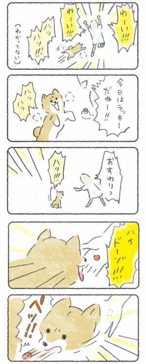 飼い主の演技にのせられて、ノリノリで薬を飲んだ柴犬　しかし？　「笑った」「可愛すぎ」