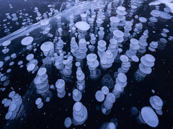 わずかな期間しか見られない、幻の冬の風物詩とは？　「なんて不思議」「時が止まったみたい」