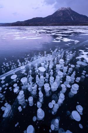 わずかな期間しか見られない、幻の冬の風物詩とは？　「なんて不思議」「時が止まったみたい」